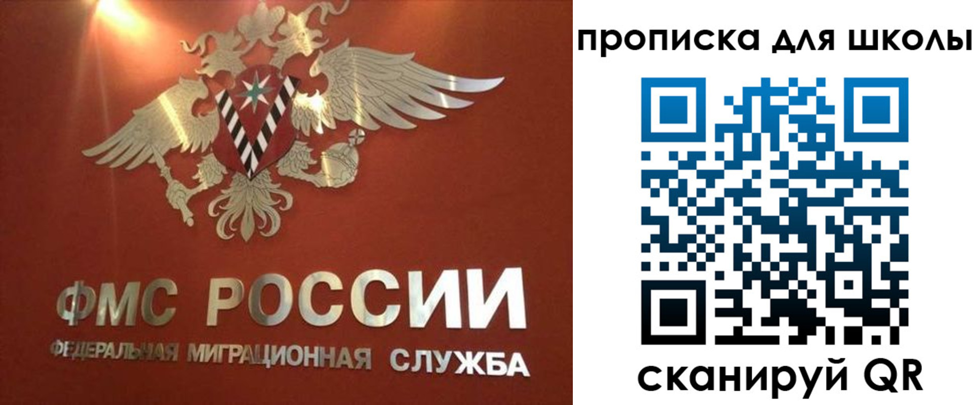 прописка от собственника в Светлогорске
