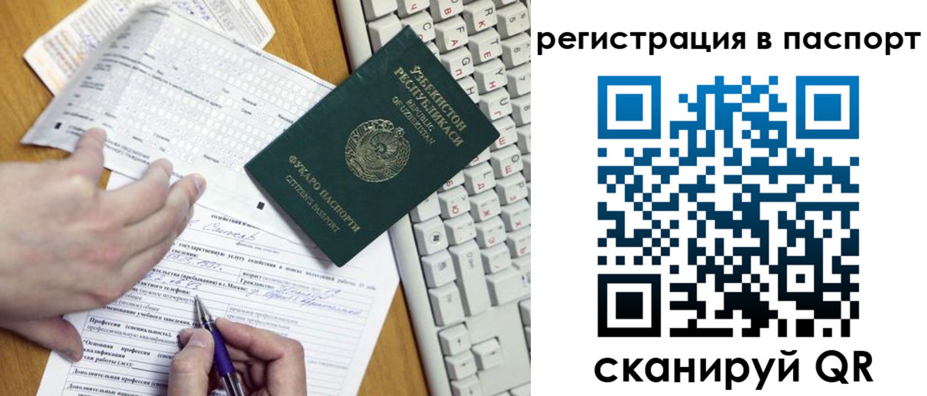 прописка поиск в Светлогорске